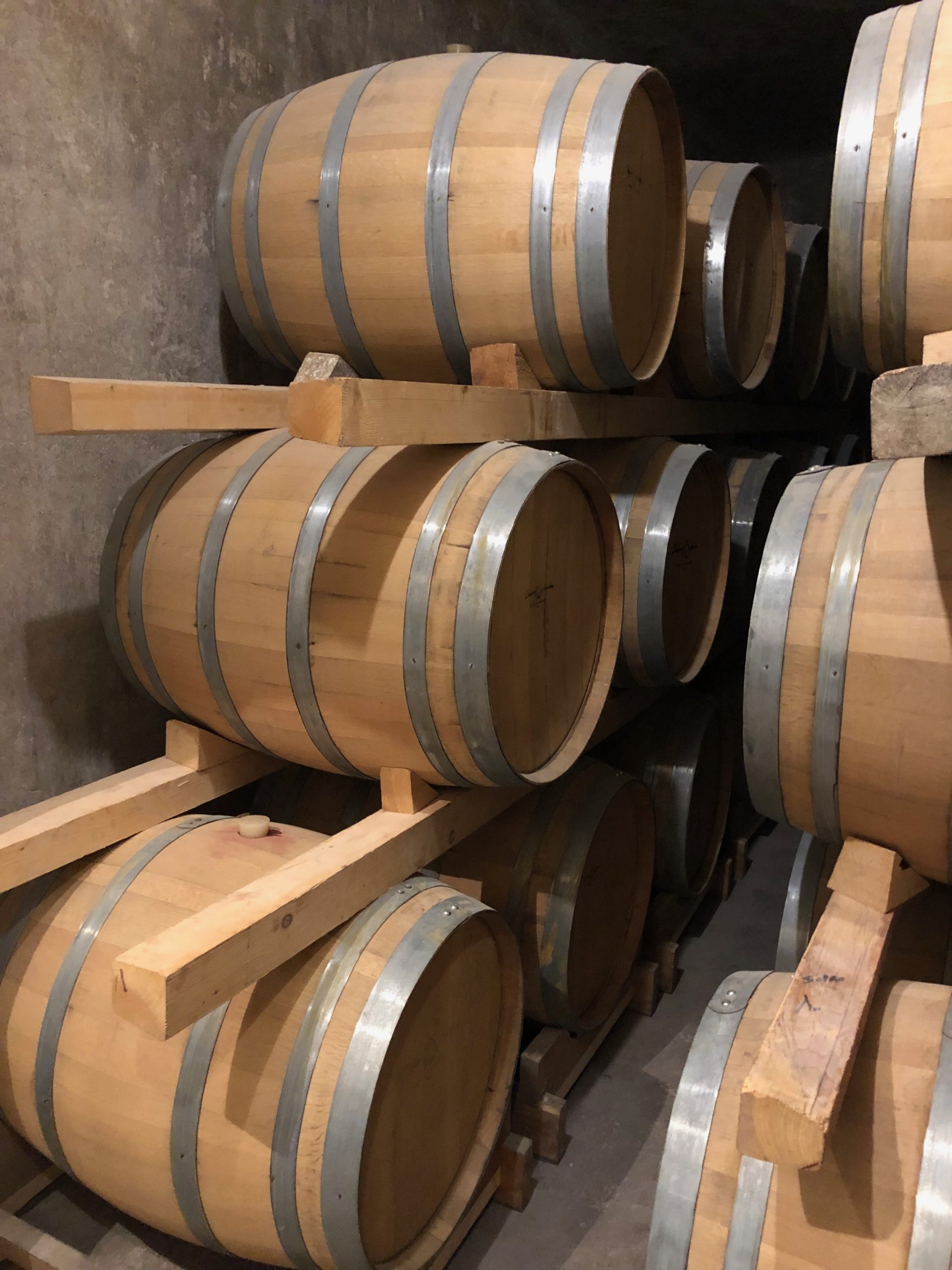primitivo wine puglia