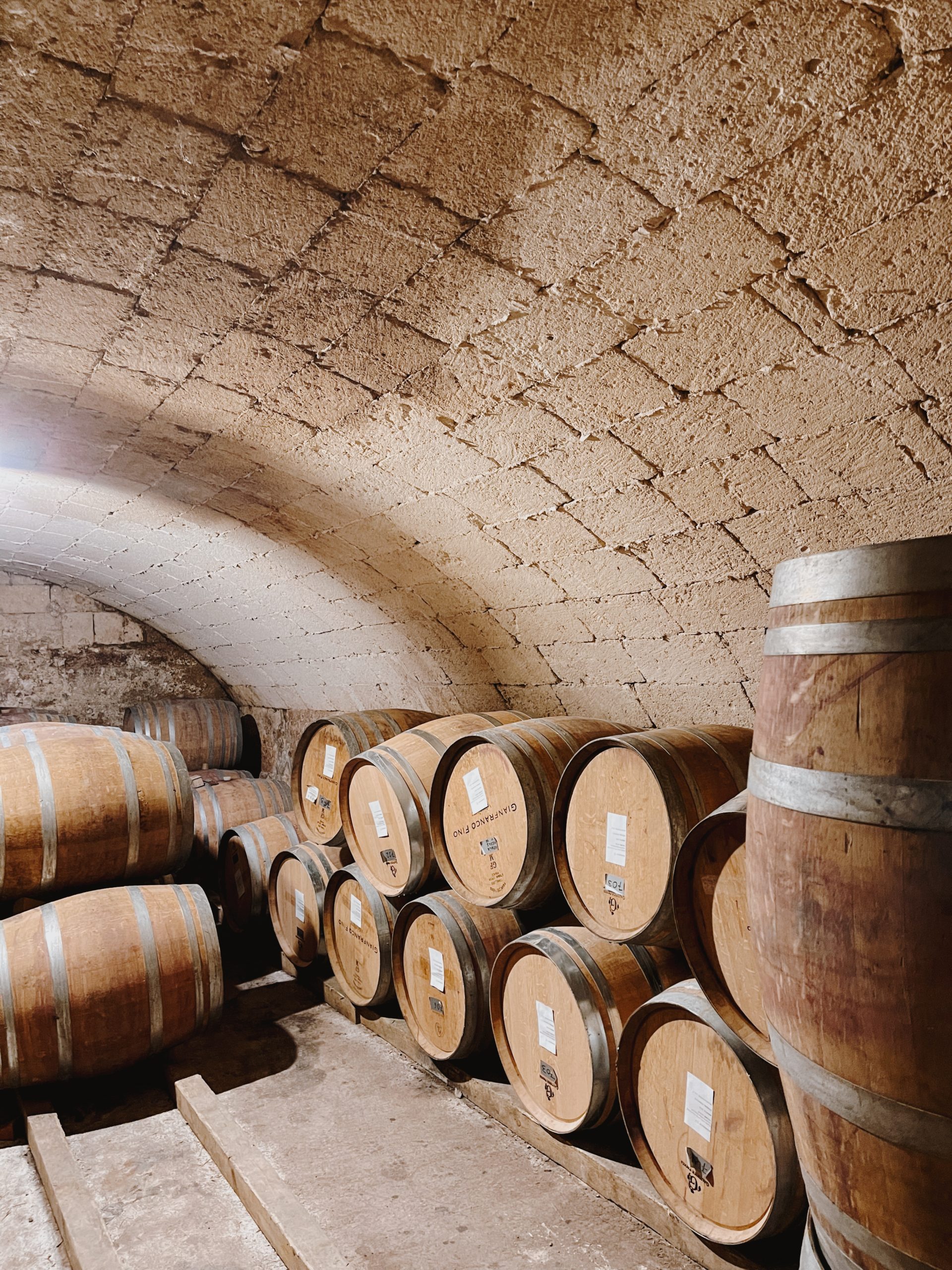 Gianfranco Fino, Manduria cantina winery Puglia