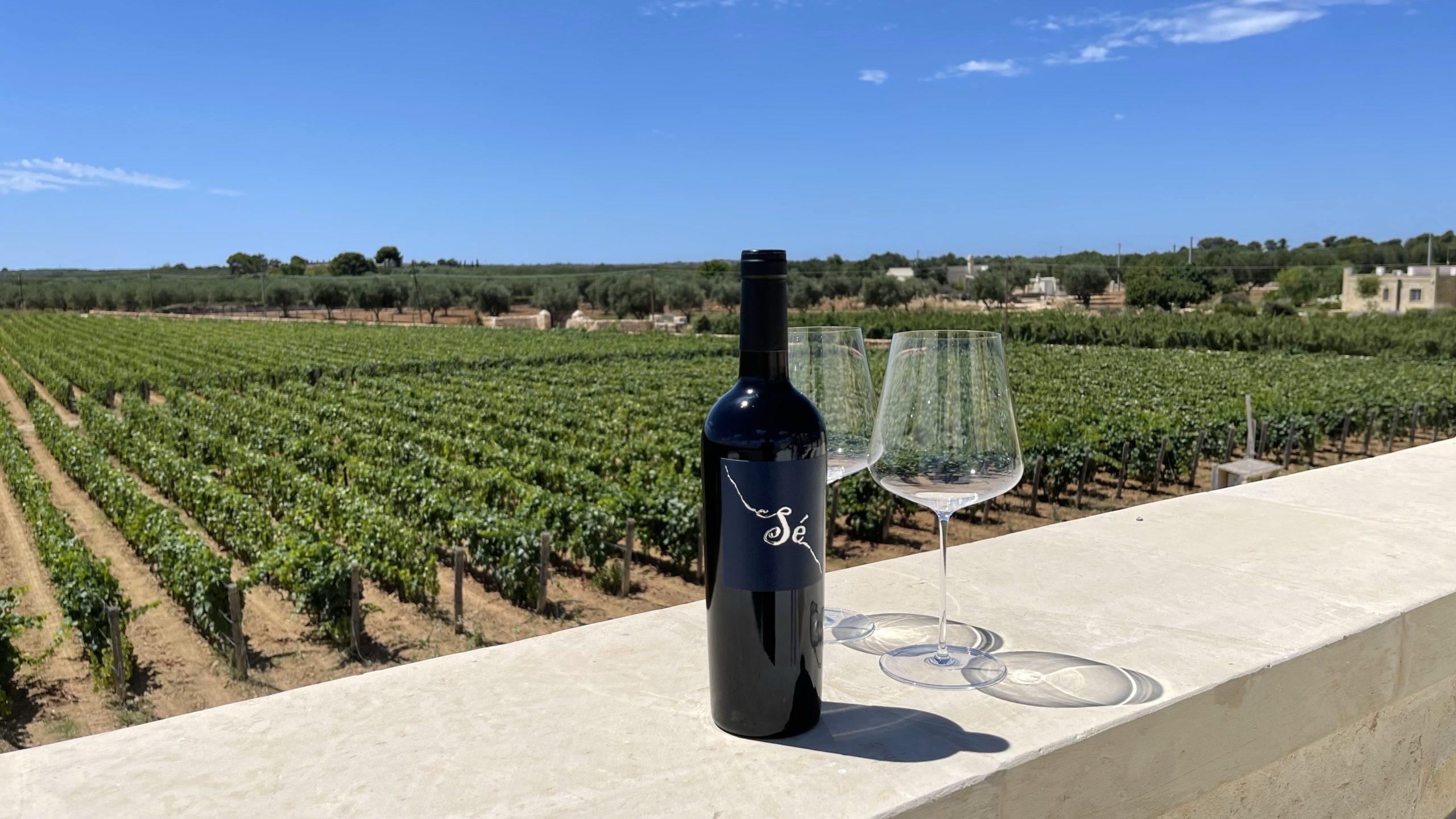 Gianfranco Fino, Manduria cantina winery Puglia