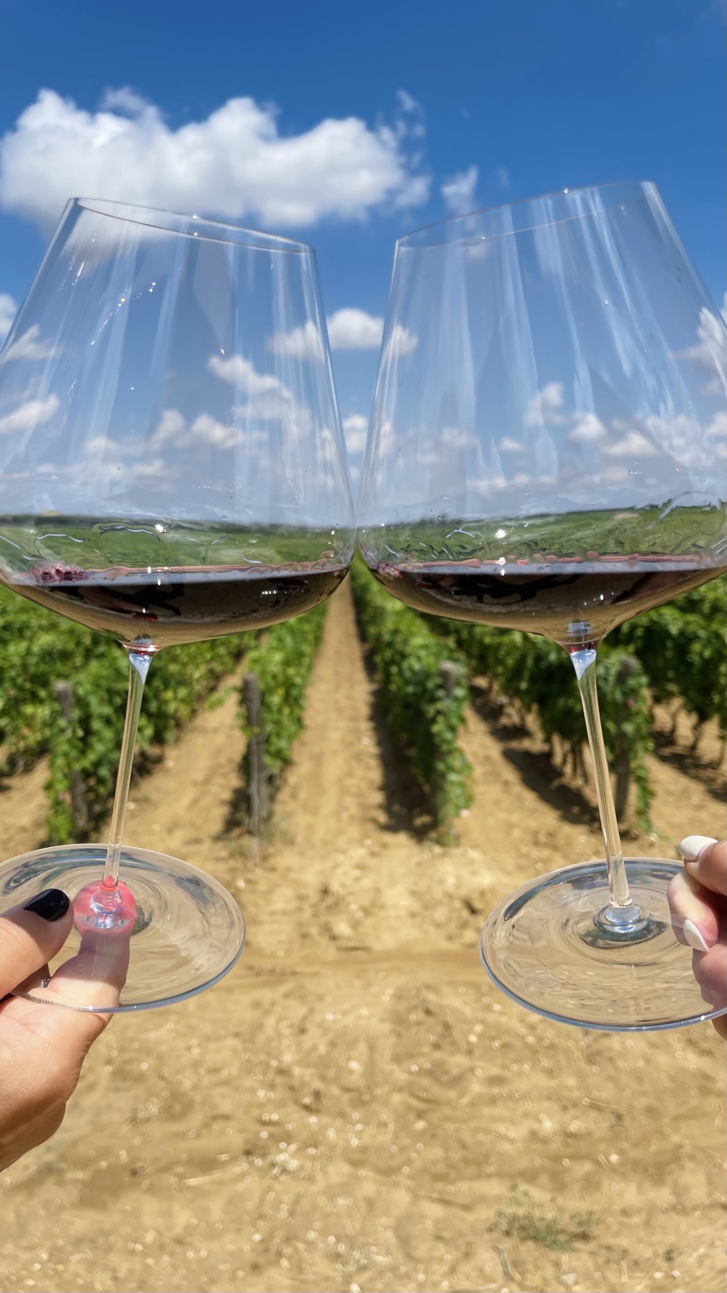 Primitivo di Мандурия, винодельня  Gianfranco Fino