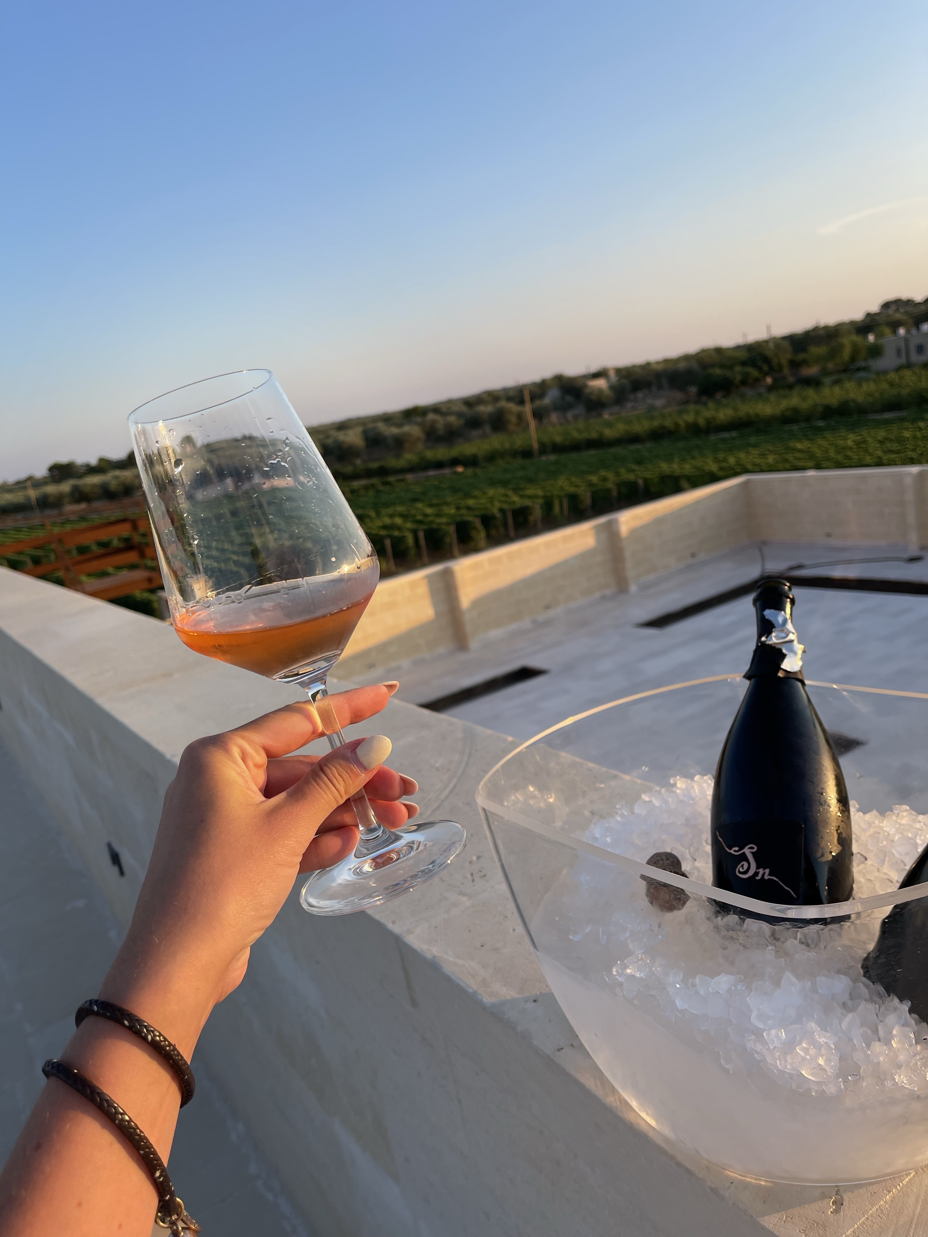 Gianfranco Fino, Manduria cantina winery Puglia