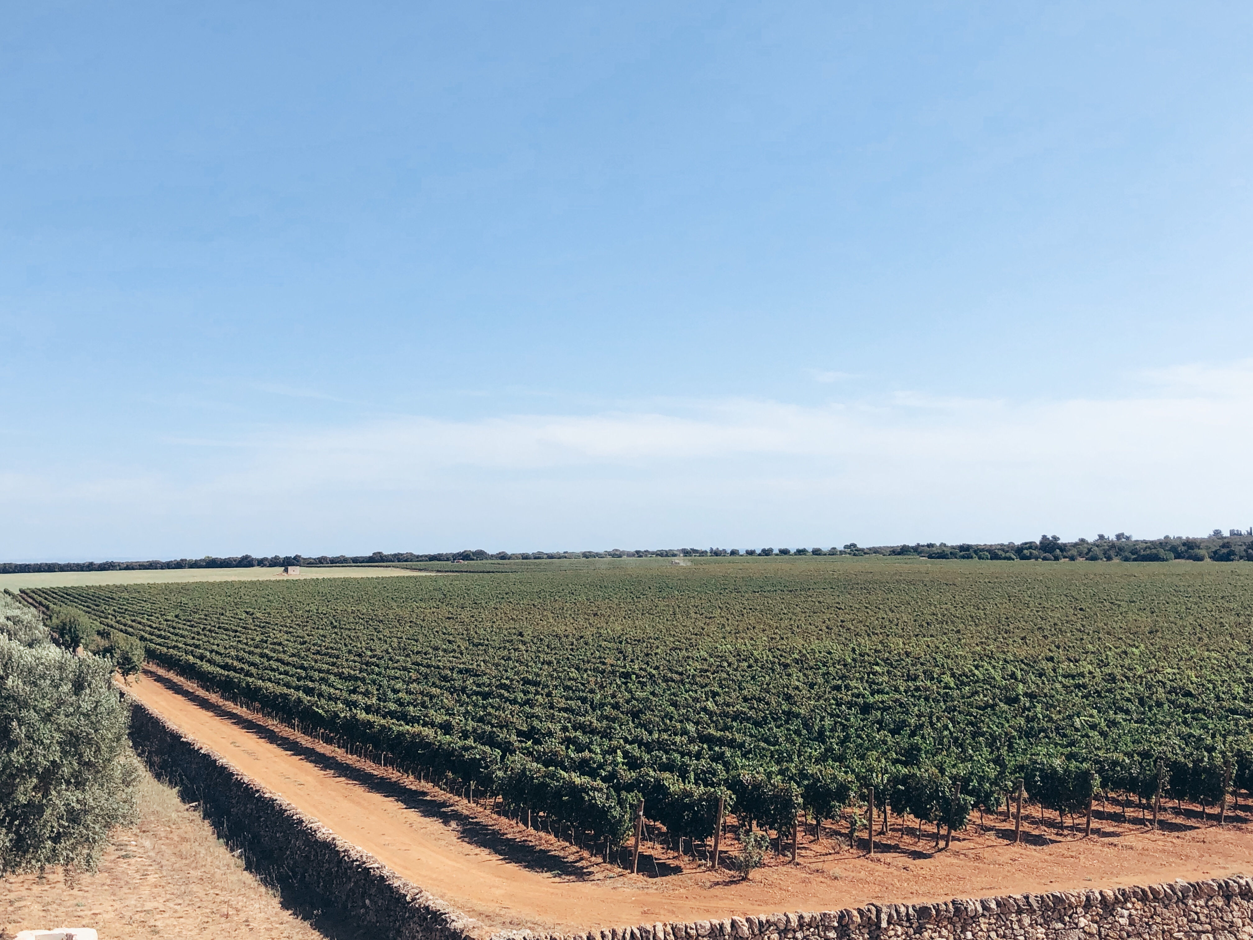 5 new masserias in Puglia to live in Puglia