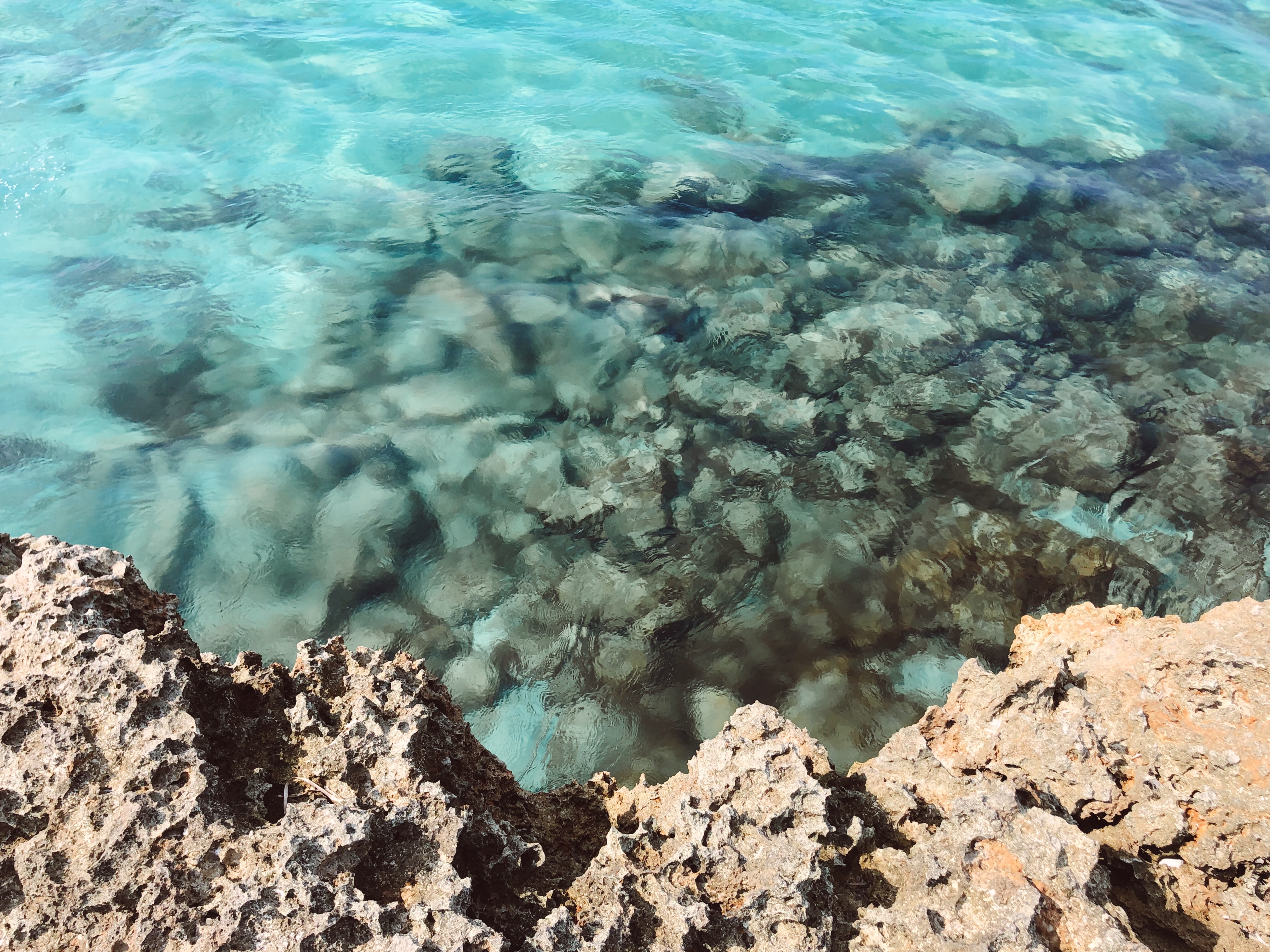 5 new masserias in Puglia to live in Puglia