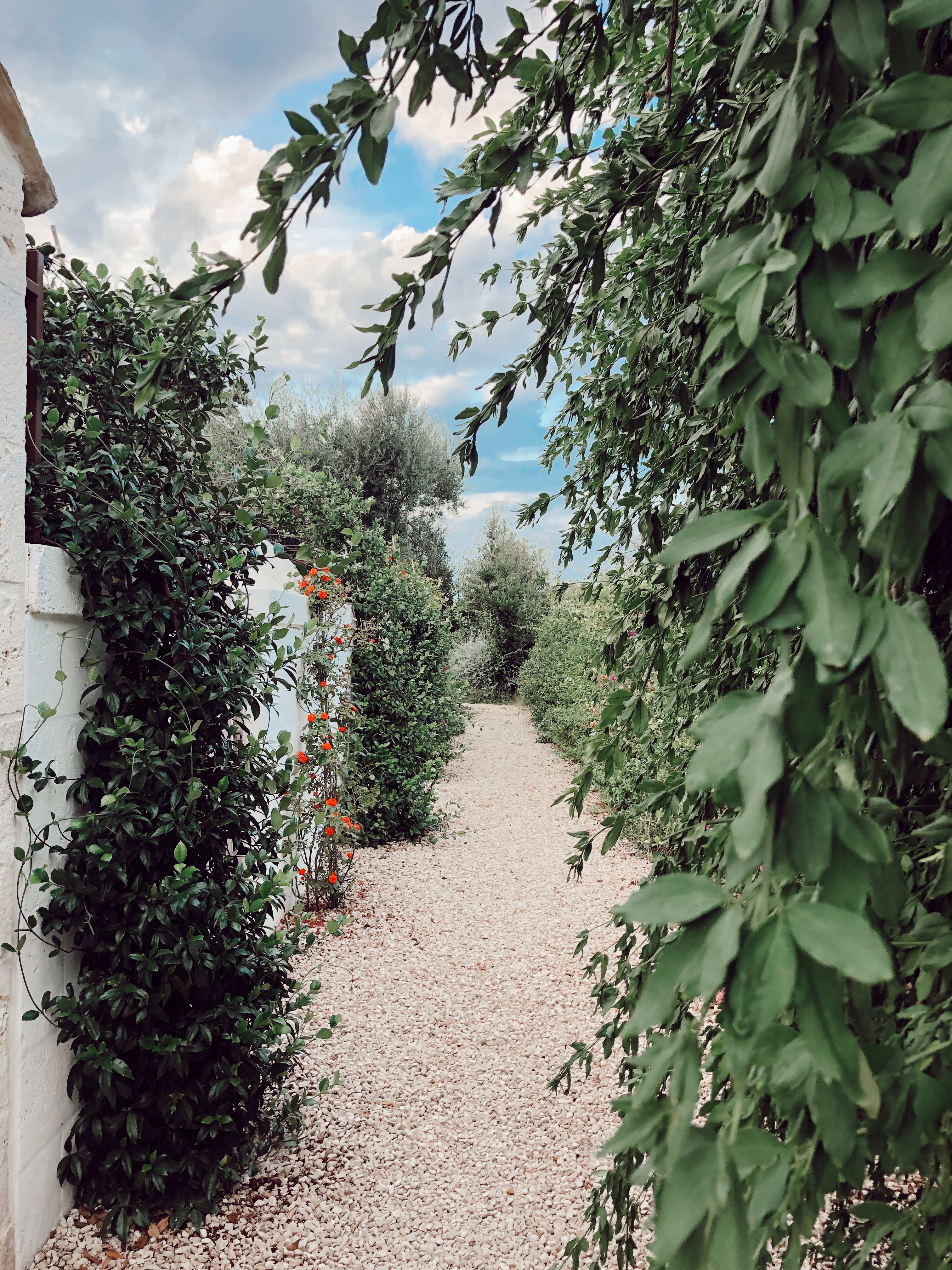 5 new masserias in Puglia to live in Puglia