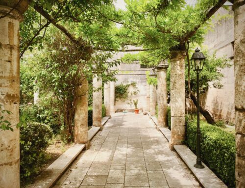 Manduria – the land of Primitivo: 7 things to do and visit