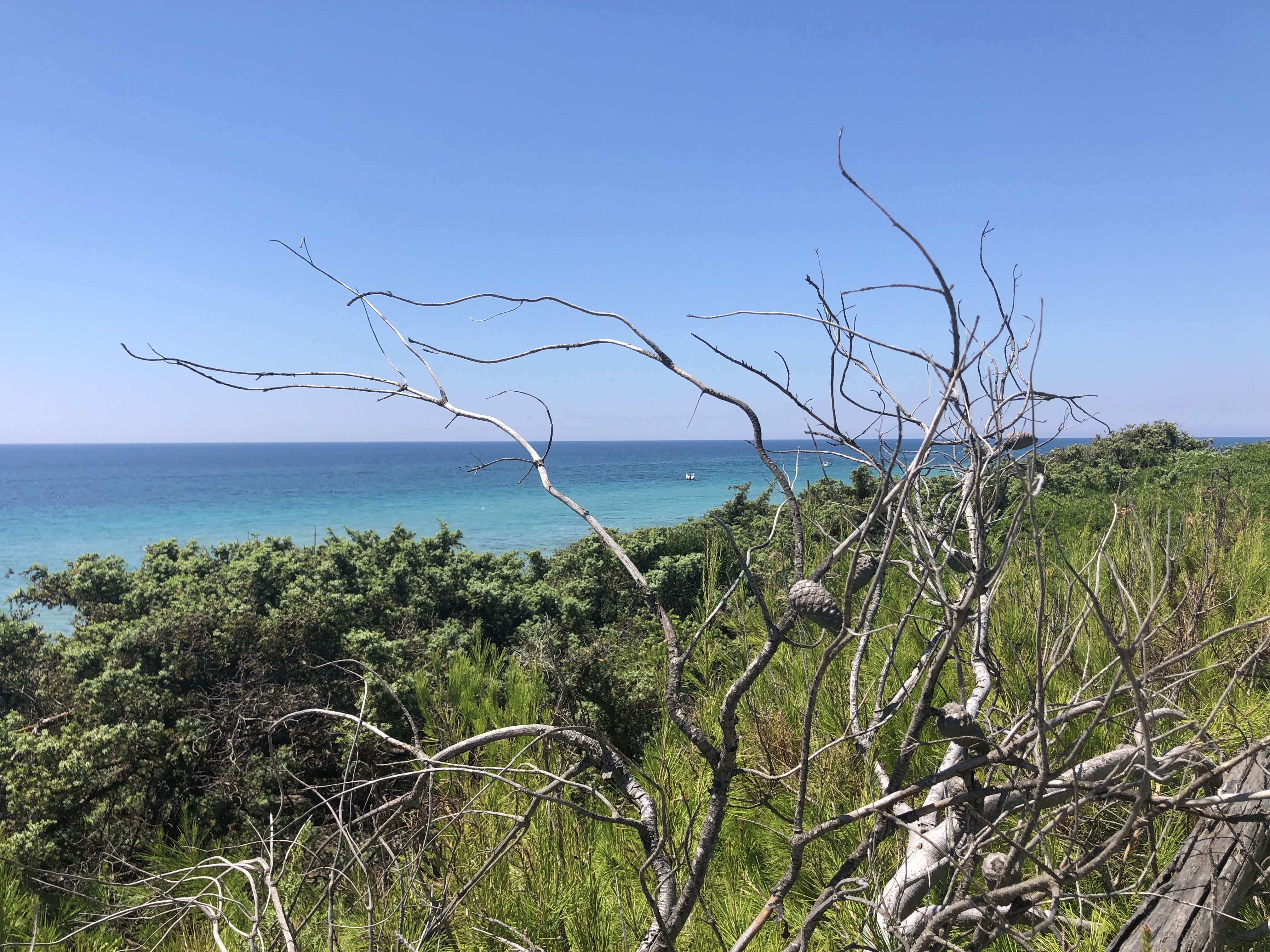5 new masserias in Puglia to live in Puglia
